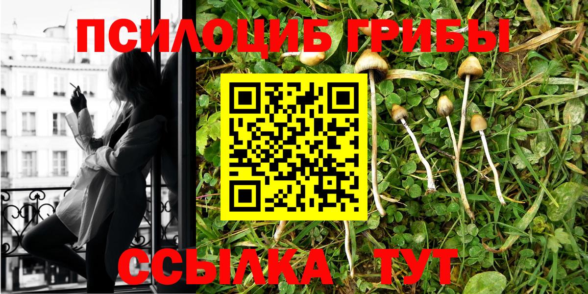 как найти закладки  Псилоцибиновые грибы Cubensis  Псилоцибиновые грибы Psilocybe  Вход с VPN  Лысьва 