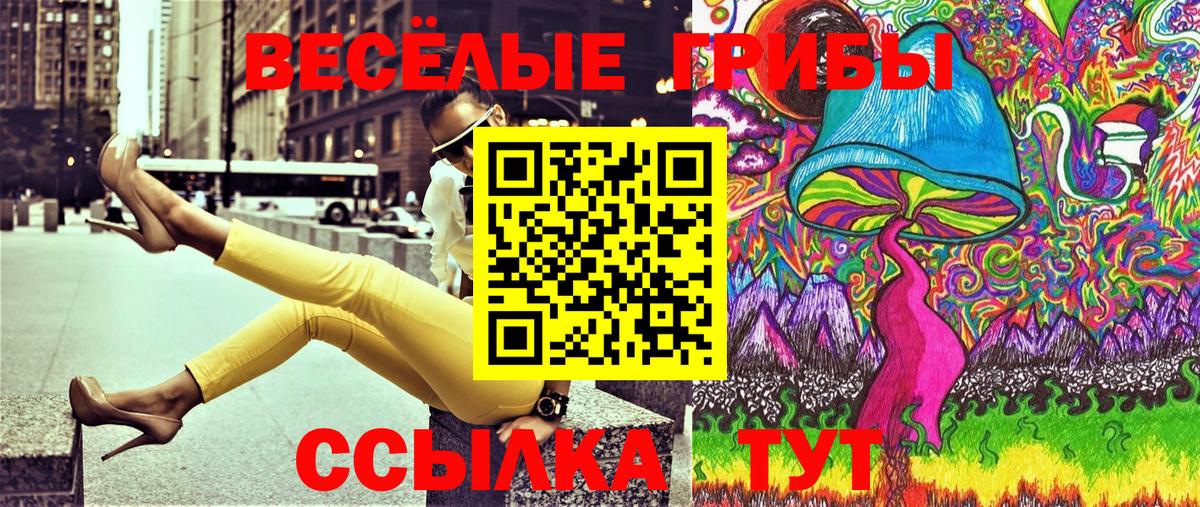 Галлюциногенные грибы Cubensis Лысьва